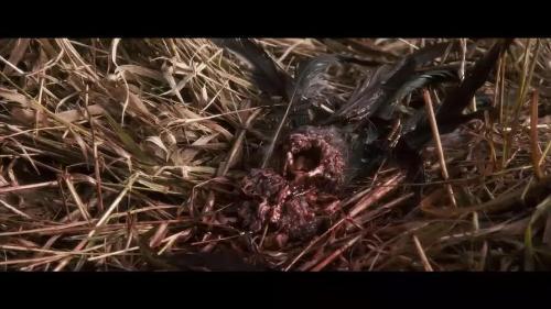 解冻在线观看完整版