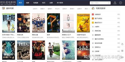 免费片在线观看网站,揭秘免费片在线观看网站的奥秘与风险  第3张